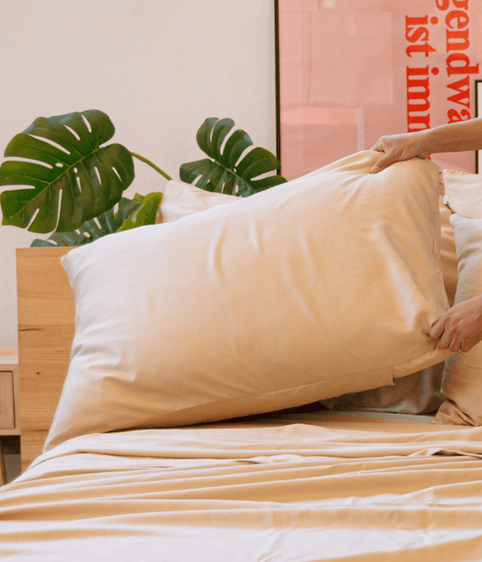 Fronhas de bambu creme exibidas na cama com lençóis às riscas e planta monstera em jarra de madeira